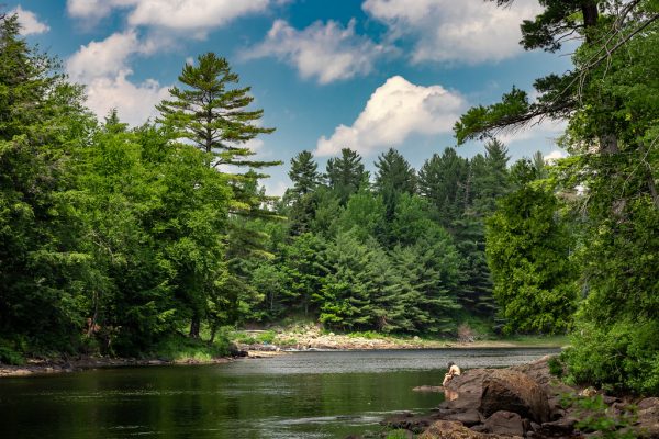 Parc des Chutes Dorwin Parc des Chutes Dorwin