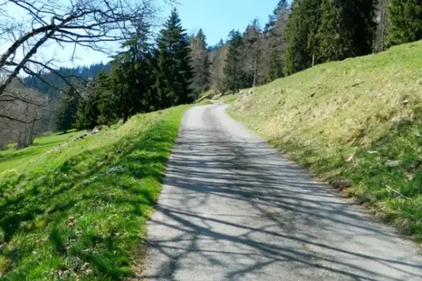 The Land of the Bisons The Land of the Bisons